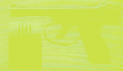 spp1.jpg